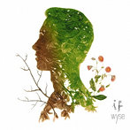 wyse/if