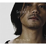 類家心平-SHINPEI RUIKE 4 PIECE BAND/Sector b