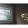 Ex Confusion/Last