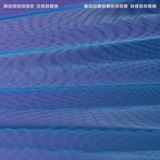 カラード・ミュージック/INDIVIDUAL BEAUTY