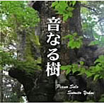 横井澄人/音なる樹
