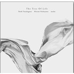 安ヵ川大樹/THE TREE OF LIFE
