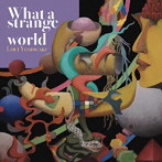 ヨシガキルイ/What a strange world