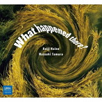 灰野敬二，田村夏樹（g、voice/tp、voice、toys）/What happened there？