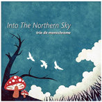 trio de monochrome/Into The Northern Sky