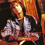 マイク・スターン/イズ・ホワット・イット・イズ