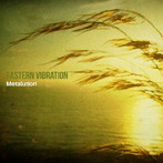 METALUTION/EASTERN VIBRATION
