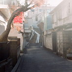 酒井尚子/The Light
