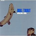 宮沢昭/BULL TROUT（いわな）