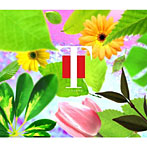 T-SQUARE/夢曲〜T-SQUARE plays THE SQUARE〜