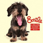 T-SQUARE SUPER BAND/Smile（DVD付）