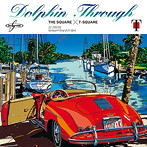 SQUARE/T-SQUARE/DOLPHIN THROUGH