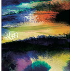 服部暁典/琥珀