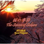 深川隆成/桜の季節