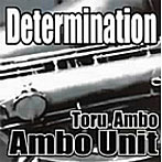 安保徹/Determination
