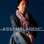 大坂昌彦/Assemblage