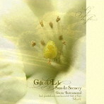 マース/こもれびの風景/GIFT OF LIFE 命のおくりもの