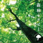 森林セラピー