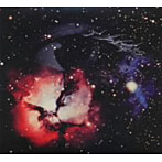 大野松雄/そこに宇宙の果てを見た