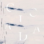 Cicada/Ocean