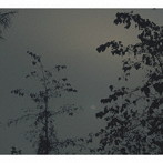 当真伊都子/Beside the Moon