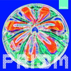 Micina/PRISM