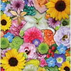 Flowerland/The Best