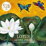 ACOON HIBINO/LOTUS