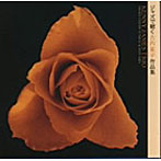 KENNY JAMES TRIO/ジャズで聴く古内東子作品集