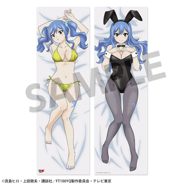 正規品 ホビージャパン ジュビア・ロクサー 抱き枕カバー FAIRY TAIL DMM.com [FAIRY TAIL 100年クエスト 描き下ろし抱き枕カバー ジュビア