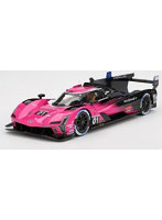 キャデラック Vシリーズ. R IMSA プチ・ル・マン 2024 優勝車 #01 キャデラック・レーシング