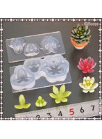 C-640 多肉植物立体型A