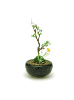 【再販】 BONN06 丸鉢寄せ植え【黒】