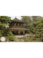 【再販】建14 1/150 慈照寺 銀閣寺