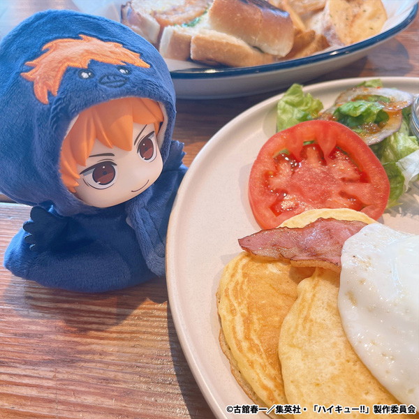 るかっぷ ポンチョ ハイキュー！！ ヒナガラス