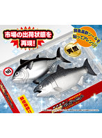 鮮度抜群！！解体パズルセット 本マグロ＆キングサーモン