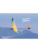 PILOT カラマンシー DX （2.5m）