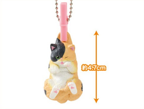 洗濯日和3 （全5種） 1BOX:10個入