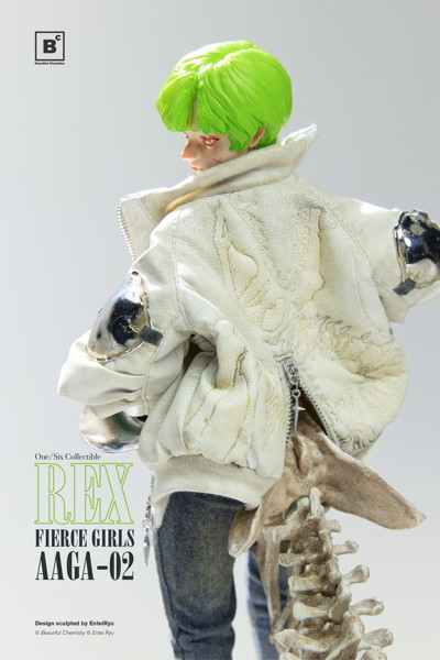 Beautiful Chemistry x Entei Ryu 1/6 Fierce Girls Mercenary Gunner AAGA-02 Rex