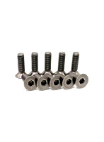 AXON SPRING TITANIUM SCREW （Flat Head 3mm x 10mm 10pic） チタンスクリュー