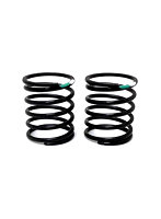 AXON WORLD SPEC SPRING HLS C2.05 （Green/White） ショックスプリング