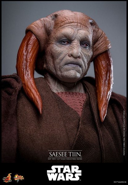 【ムービー・マスターピース】 『スター・ウォーズ エピソード3/シスの復讐』1/6スケールフィギュア サシー・ティン