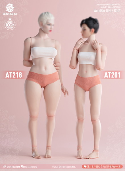 ワールドボックス 1/6 ガールズボディ プラスサイズ AT218 ペール