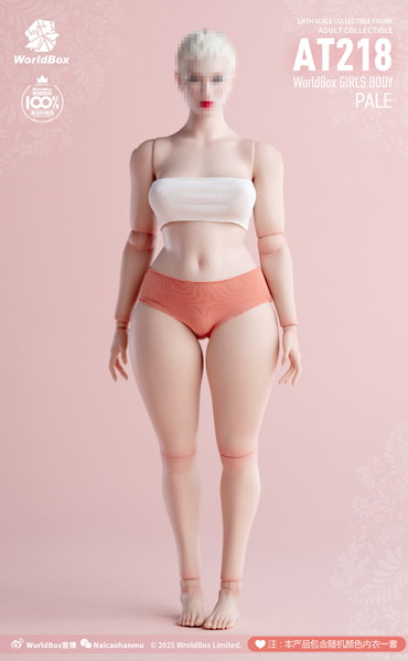 ワールドボックス 1/6 ガールズボディ プラスサイズ AT218 ペール