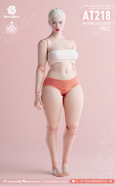 ワールドボックス 1/6 ガールズボディ プラスサイズ AT218 ペール
