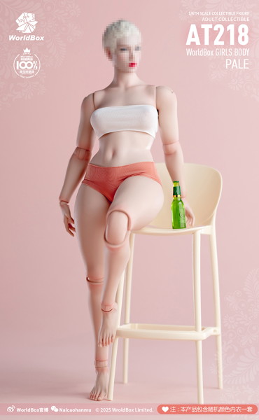 ワールドボックス 1/6 ガールズボディ プラスサイズ AT218 ペール