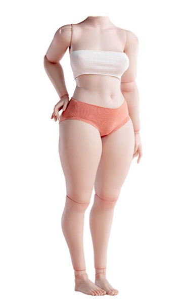 ワールドボックス 1/6 ガールズボディ プラスサイズ AT218 ペール
