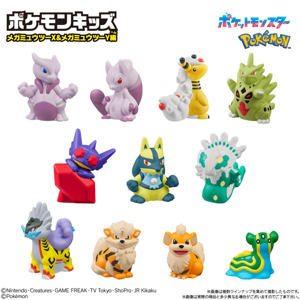 ポケモンキッズ メガミュウツーX＆メガミュウツーY編 （全11種） 1BOX:21個入