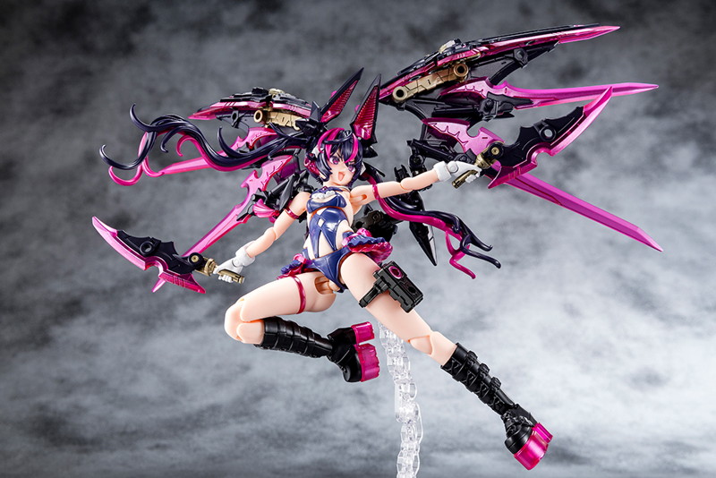 デザイアメイデン レイダー