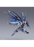 METAL BUILD 機動戦士ガンダム SEED フリーダムガンダム CONCEPT 2（再販版）